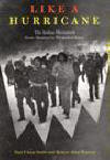 Like a Hurricane : The Indian Movement from Alcatraz to Wounded Knee by Paul Chaat Smith, Robert Allen Warrior